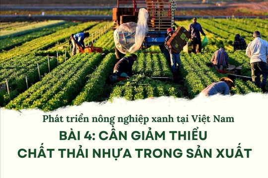 Phát triển nông nghiệp xanh tại Việt Nam Bài 4: Cần giảm thiểu chất thải nhựa trong sản xuất