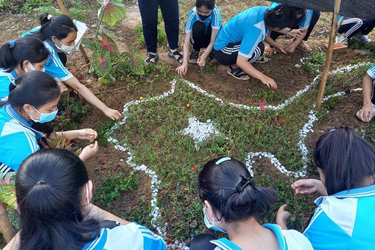 Để học sinh Bình Định thêm yêu và biết cách bảo vệ môi trường