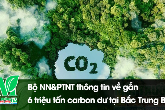 [VIDEO] Bộ NN&PTNT thông tin về gần 6 triệu tấn carbon dư tại Bắc Trung Bộ