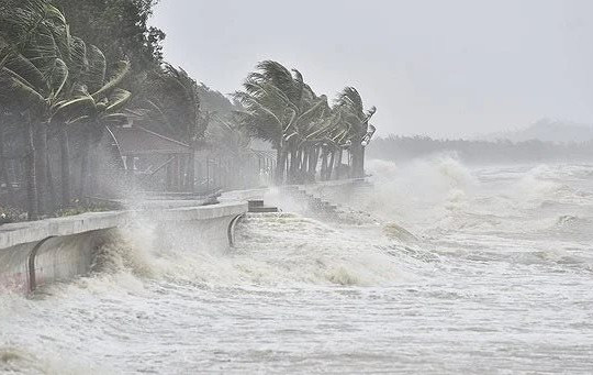 Bộ Nông nghiệp và Phát triển nông thôn đề nghị ứng phó sớm với bão Yagi