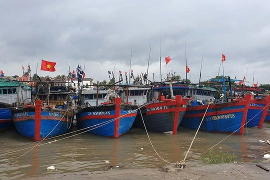 Thanh Hóa: Hơn 5000 tàu thuyền đã neo đậu an toàn tránh bão Yagi