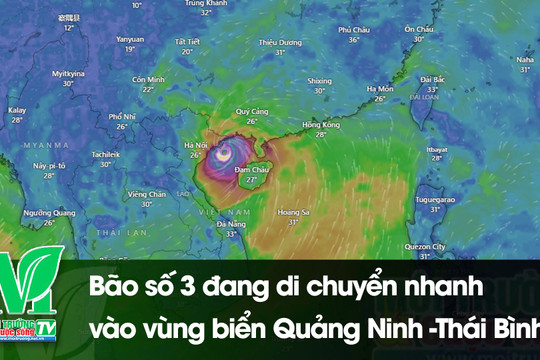 [VIDEO] Bão số 3 đang di chuyển nhanh vào vùng biển Quảng Ninh -Thái Bình