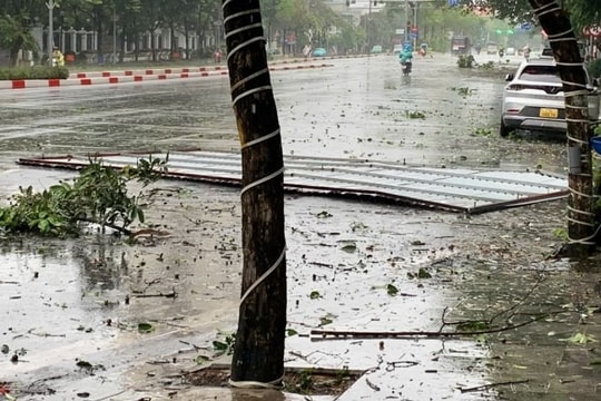 Bão số 3 làm 24 người chết, 229 người bị thương cùng nhiều thiệt hại nghiêm trọng