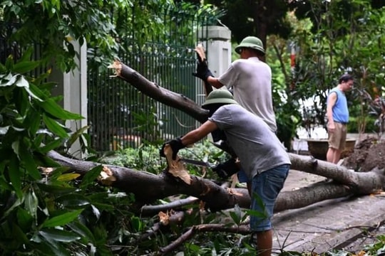 TP.HCM cử lực lượng hỗ trợ Hà Nội, Hải Phòng khắc phục hậu quả bão Yagi