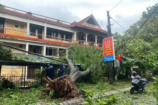 Nhiều tỉnh thành tiếp tục cho học sinh nghỉ học sau bão Yagi