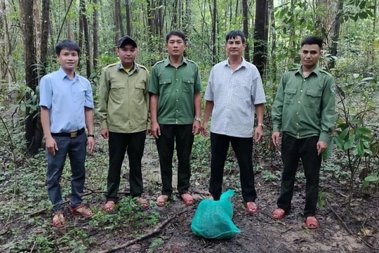 Kon Tum: Thả cá thể trăn 15kg về môi trường rừng tự nhiên