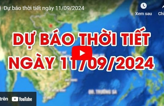 Dự báo thời tiết ngày 11/9/2024: Mưa trên cả nước