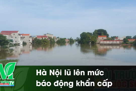 [VIDEO] Hà Nội lũ lên mức báo động khẩn cấp