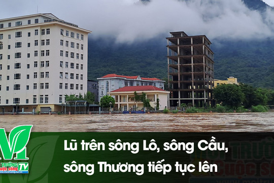 [VIDEO] Lũ trên sông Lô, sông Cầu, sông Thương tiếp tục lên