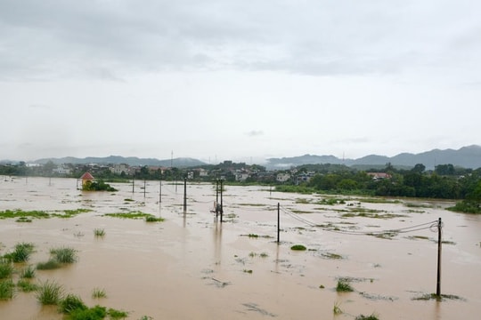 Lũ sông Lô đoạn qua thành phố Tuyên Quang đạt đỉnh 26,21m, trên mức báo động 3