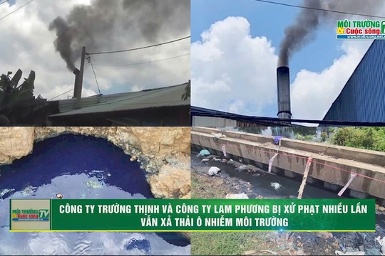 [VIDEO] Công ty Trường Thịnh & Công ty Lam Phương hoạt động nhiều "không",xử phạt nhiều lần vẫn xả thải ô nhiễm môi trường