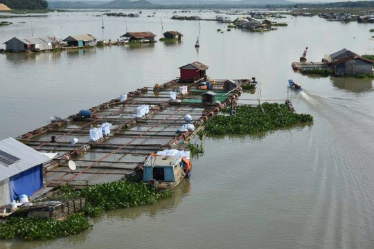 Đồng Nai cảnh báo nguy cơ lũ trên sông La Ngà và sông Đồng Nai