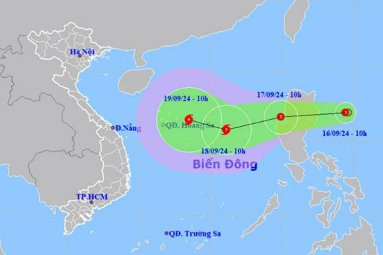 Các tỉnh, thành phố từ Quảng Ninh đến Bình Thuận cần theo dõi chặt diễn biến áp thấp nhiệt đới