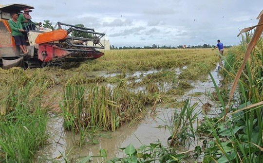 Mưa lớn kéo dài, Chủ tịch tỉnh Bạc Liêu ra chỉ đạo khẩn