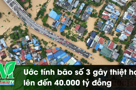 [VIDEO] Uớc tính bão số 3 gây thiệt hại lên đến 40.000 tỷ đồng