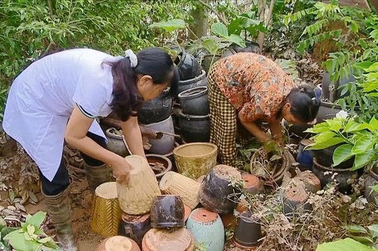 Hà Nội tập trung nguồn lực xử lý môi trường, phòng chống dịch bệnh sau bão lũ