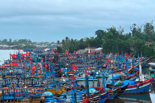 Quảng Ngãi: Cấm tất cả các phương tiện, tàu thuyền ra biển hoạt động từ 12 giờ ngày 18/9