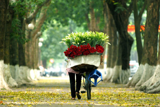 Dự báo thời tiết Hà Nội ngày 19/9/2024: Mưa nắng đan xem