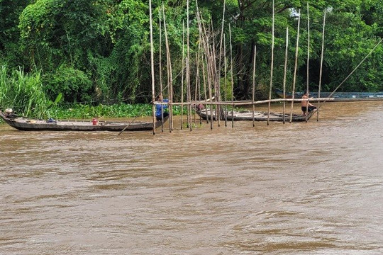 Cảnh báo lũ trên các sông ở miền Tây
