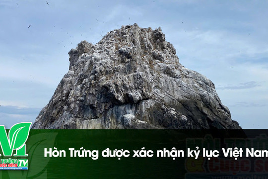 [VIDEO] Hòn Trứng được xác nhận kỷ lục Việt Nam