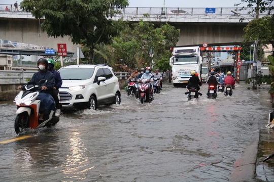 Mưa dông cùng triều cường đạt đỉnh khiến cây đổ, đường ngập tại TP Hồ Chí Minh