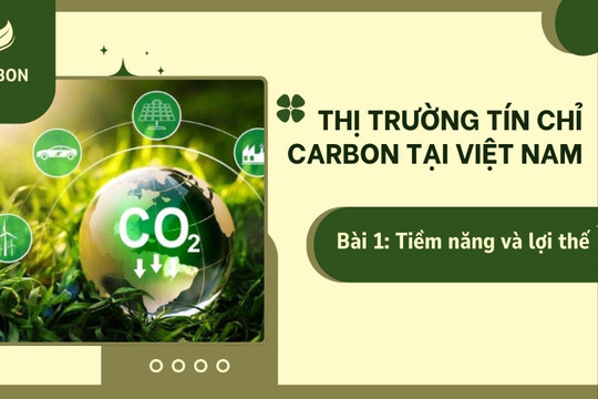 Thị trường tín chỉ carbon tại Việt Nam Bài 1: Tiềm năng và lợi thế