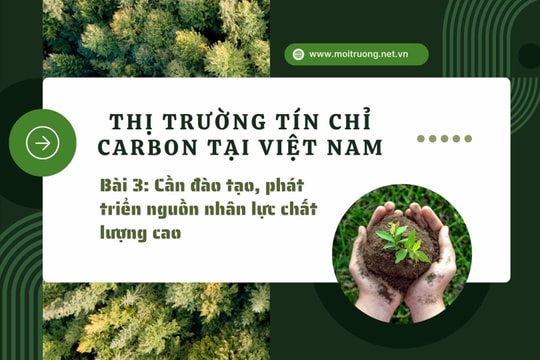 Thị trường tín chỉ carbon tại Việt Nam Bài 3: Cần đào tạo, phát triển nguồn nhân lực chất lượng cao