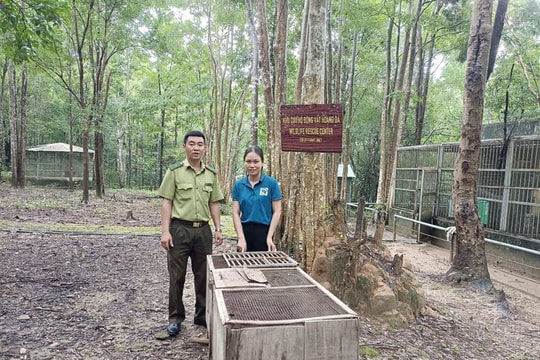 Kon Tum: Tiếp nhận cá thể trăn và khỉ đuôi lợn để bảo tồn