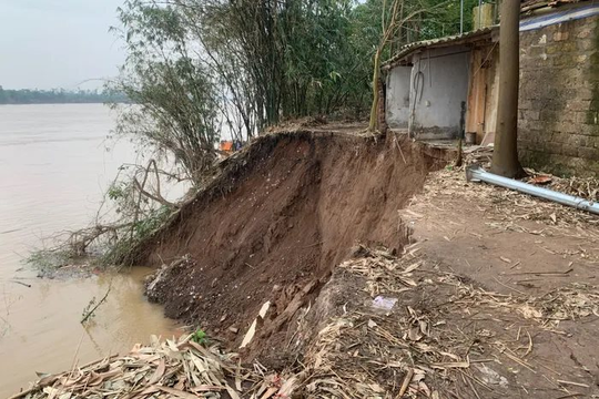 Sạt lở hàng chục mét bờ sông Hồng, người dân phải di dời ngay