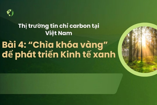 Thị trường tín chỉ carbon tại Việt Nam Bài 4: “Chìa khóa vàng” để phát triển Kinh tế xanh