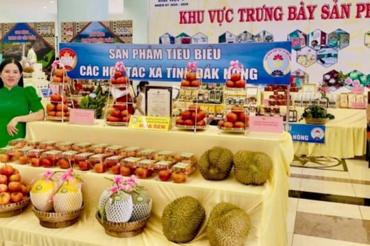 Đắk Nông: OCOP góp phần nâng tầm giá trị sản phẩm