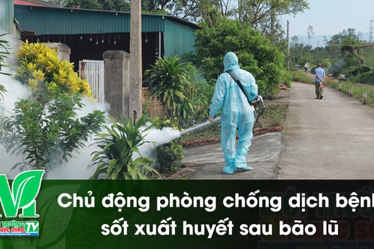 [VIDEO] Chủ động phòng chống dịch bệnh sốt xuất huyết sau bão lũ