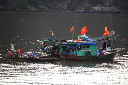 Các tỉnh từ Quảng Ninh đến Bình Định chủ động ứng phó với gió mạnh, sóng lớn trên biển