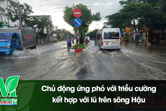 [VIDEO] Chủ động ứng phó với triều cường kết hợp với lũ trên sông Hậu