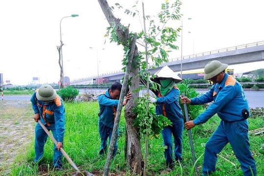 Hải Dương có thể khôi phục hơn 6000 cây xanh sau bão số 3