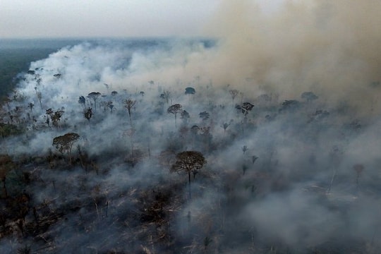 Brazil: Số bệnh nhân điều trị bệnh hô hấp cao gấp 20 lần bình thường do khói từ cháy rừng Amazon