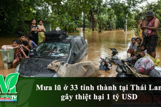 [VIDEO] Mưa lũ ở 33 tỉnh thành tại Thái Lan gây thiệt hại gần 1 tỷ USD