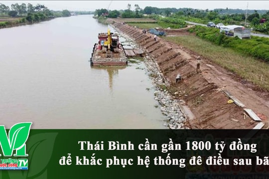 [VIDEO] Thái Bình cần gần 1800 tỷ đồng để khắc phục hệ thống đê điều sau bão