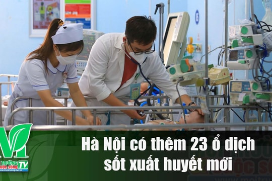 [VIDEO] Hà Nội có thêm 23 ổ dịch sốt xuất huyết mới