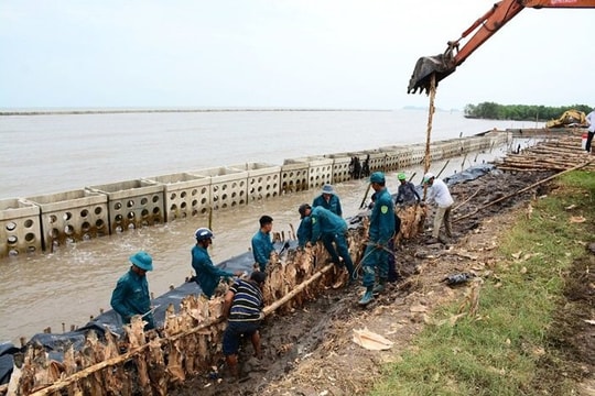 Cà Mau: Chủ động nhân lực, vật lực ứng phó với thiên tai