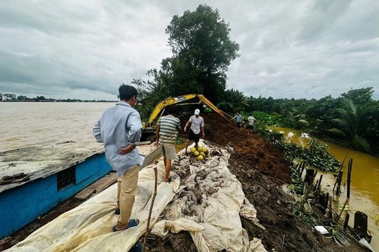 Bến Tre: Xuất hiện thêm 12 điểm sạt lở mới