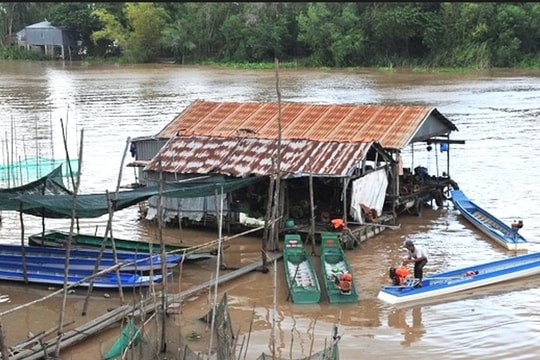 Đồng bằng sông Cửu Long đón lũ dâng cao, cảnh báo ngập úng