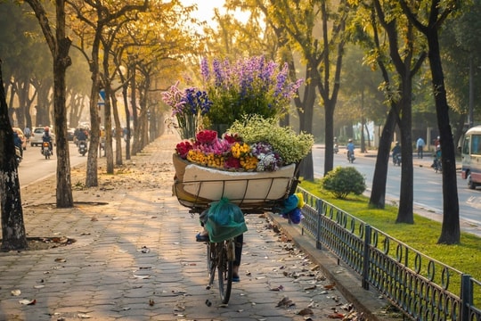 Dự báo thời tiết Hà Nội ngày 11/10/2024: Sáng sớm sương mù, ngày nắng