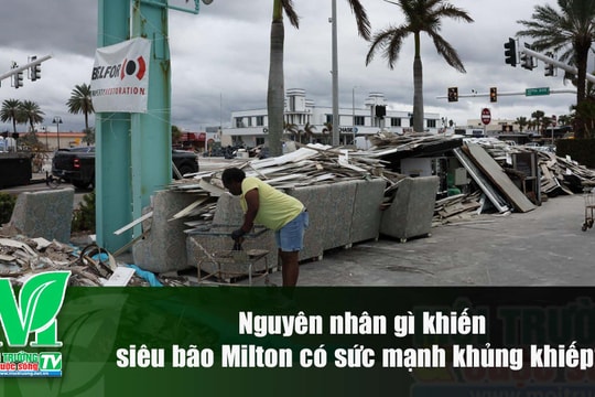 [VIDEO] Nguyên nhân gì khiến siêu bão Milton có sức mạnh khủng khiếp?