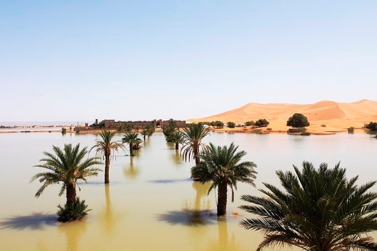 Sa mạc Sahara bất ngờ ngập lụt vì mưa kỷ lục, hơn 20 người thiệt mạng