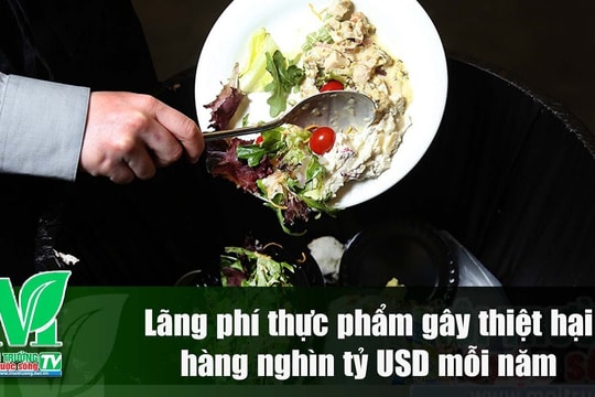 [VIDEO] Lãng phí thực phẩm gây thiệt hại hàng nghìn tỷ USD mỗi năm