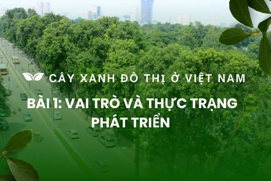 Cây xanh đô thị ở Việt Nam: Bài 1: Vai trò và thực trạng phát triển