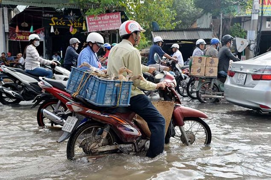 An Giang chỉ đạo chủ động ứng phó lũ kết hợp triều cường