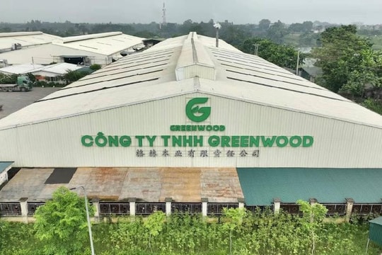 Phú Thọ: Công ty TNHH GREENWOOD bị xử phạt 140 triệu đồng về lĩnh vực bảo vệ môi trường