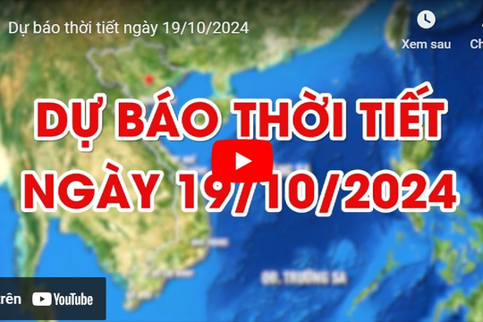 Dự báo thời tiết ngày 19/10/2024: Có mưa rào rải tác. Gió nhẹ